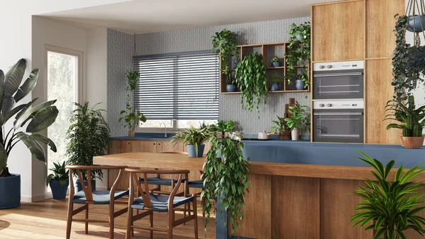 Ada ve sandalyeli beyaz ve mavi tonlarda modern ahşap mutfak. Biyofilik konsept, birçok ev bitkisi. Kentsel orman iç tasarımı