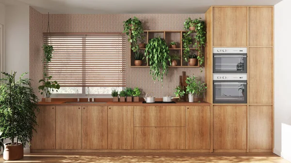 stock image Modern wooden kitchen in white and orange tones with cabinets and appliances. Window with venetian blinds. Biophilic concept, many houseplants. Urban jungle interior design