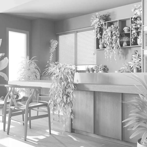 Tamamen Beyaz Proje Taslağı Adalı Ahşap Mutfak Sandalyeler Pencereler Aletler — Stok fotoğraf
