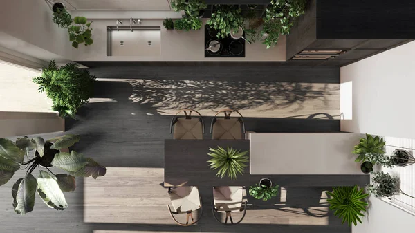 Diseño Interior Selva Urbana Cocina Madera Oscura Tonos Blancos Beige —  Fotos de Stock