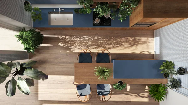 Urban jungle interior design, wooden kitchen in white and blue tones with many houseplants. Island with chairs and appliances. Biophilic concept idea. Top view, plan, above