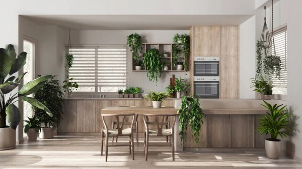 Urban jungle interior design, bleached wooden kitchen in white and beige tones with many houseplants. Island with chairs and appliances. Biophilic concept idea