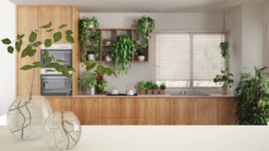 Üzerinde cam vazo olan beyaz masa ya da raf hidrofonik bitki, süs, bitki kökü, vazo, ev bitkisi, mutfak, ev aletleri, ev bitkileri, iç tasarım