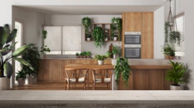 Ahşap eski masa üstü ya da raf kapağı, zen modu, sürdürülebilir mutfak üzerinde ada, yemek odası, birçok ev bitkisi, mimari iç tasarım, kentsel orman tasarımı