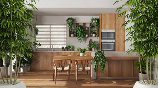 Zen interior with potted bamboo plant, natural interior design concept, kitchen with island and chairs, cabinets and appliances, urban jungle, interior design idea