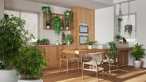 Interior Zen Com Planta Bambu Vaso Conceito Design Interiores Naturais — Fotografia de Stock