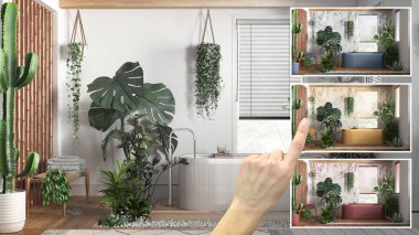 Mimari tasarım konsepti, modern tuvaleti ev bitkileriyle göstermek, farklı seçeneklerde renkler, iç tasarım projesi taslağı, renk seçici, malzeme örneği