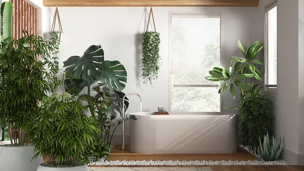 Zen Belső Tér Cserepes Bambusz Növény Természetes Belsőépítészeti Koncepció Fából — Stock Fotó