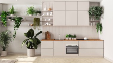 Kapalı alan bahçe fikri. Beyaz tonlarda asgari mutfak iç tasarımı. Parke, kanepe ve bir sürü ev bitkisi. Kentsel orman geçmişi