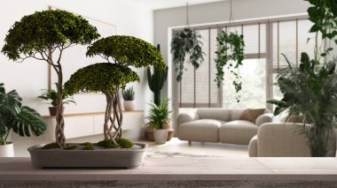 Çakıl taşı ve saksı çiçekli klasik ahşap masa rafı, yeşil çiçekler, modern oturma odasının üzerinde kanepe, minimalist iç tasarım, kentsel orman konsepti fikri