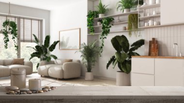 Kanepe ve mutfağı, iç tasarımı, kentsel orman konsepti olan modern oturma odasında, üzerinde mumlar ve çakıl taşları olan ahşap bir masa ya da raf.