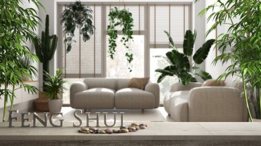 Çakıl taşı dengeli ahşap eski masa rafı ve üç boyutlu harfler kanepede ve ev bitkileriyle en az beyaz oturma odasında feng shui sözcüğünü oluşturuyor, kentsel orman iç tasarımı
