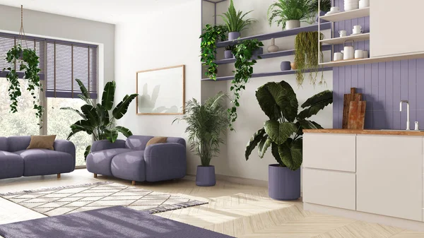 Home garden love. Kitchen and living room interior design in white and violet tones. Parquet, sofa and many house plants. Urban jungle, indoor biophilia idea