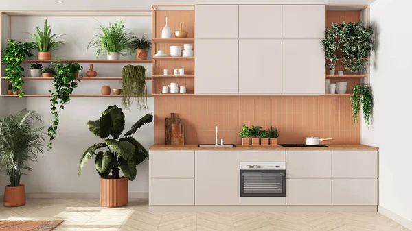 Indoor home garden concept idea. Minimal kitchen interior design in white and orange tones. Parquet, sofa and many house plants. Urban jungle background