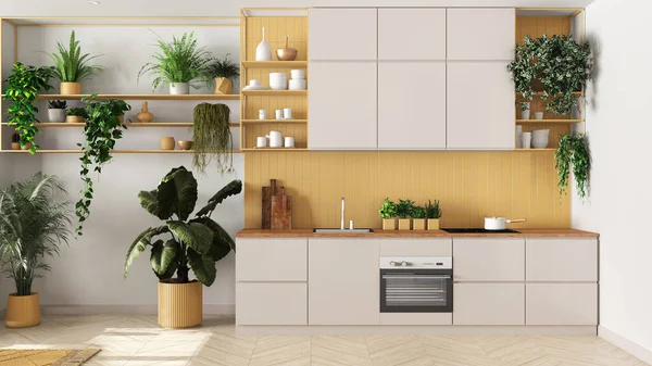 Indoor home garden concept idea. Minimal kitchen interior design in white and yellow tones. Parquet, sofa and many house plants. Urban jungle background