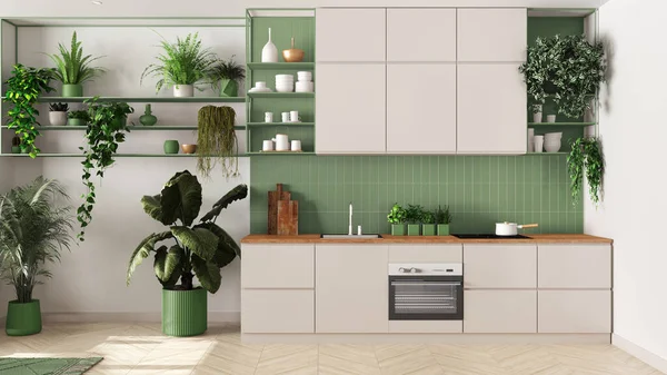 Indoor home garden concept idea. Minimal kitchen interior design in white and green tones. Parquet, sofa and many house plants. Urban jungle background