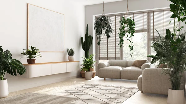 Concepto Amor Por Las Plantas Minimal Diseño Interior Moderno Sala —  Fotos de Stock
