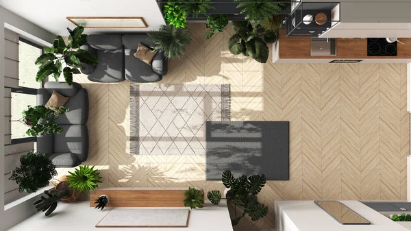 Liebe Pflanzen Konzept Minimal Moderne Wohn Und Kücheneinrichtung Weiß Und — Stockfoto