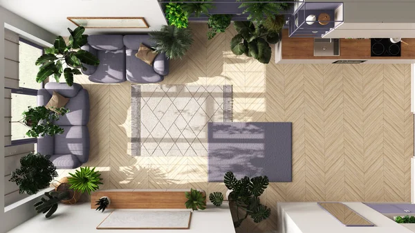 Liebe Pflanzen Konzept Minimal Moderne Wohn Und Kücheneinrichtung Weißen Und — Stockfoto