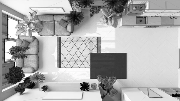 未完成の青写真プロジェクトの草案 植物の概念への愛 最小限のリビングルームとキッチンインテリアデザイン ソファと多くの家の植物 都市のジャングルのアイデア トップビュー — ストック写真
