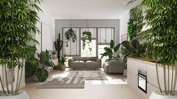 Zen interior with potted bamboo plant, natural interior design concept, living room and kitchen with sofa, cabinets and appliances, urban jungle, interior design idea