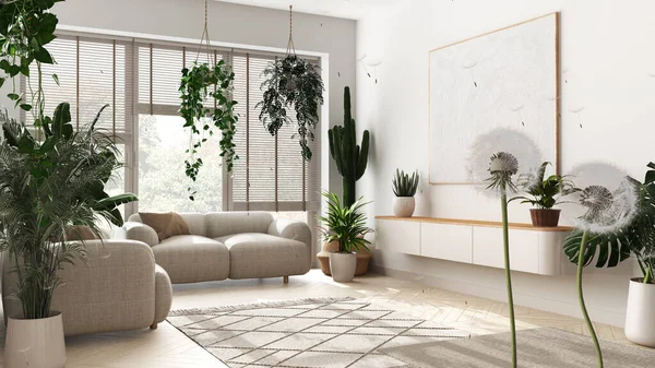 복슬복슬 민들레 거실에는 집에서 자라는 식물들이 있습니다 디자인 아이디어 자유의 — 스톡 사진