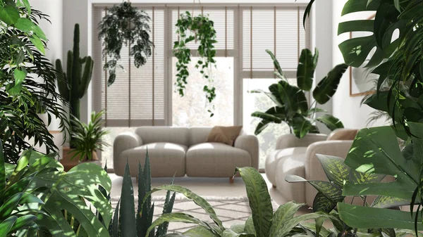 Jungle Frame Biofiel Idee Tropische Bladeren Boven Minimalistische Witte Woonkamer — Stockfoto