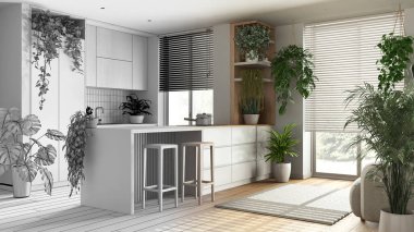 Mimari iç mimar konsepti: elle çizilmiş tamamlanmamış proje gerçek, kapalı ev bahçesi konsepti haline geliyor. Asgari mutfak. Bir sürü ev bitkisi. Şehir Ormanı