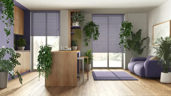 Love for plants concept. Kitchen with island and living room interior design in purple and wooden tones. Parquet, sofa and many house plants. Urban jungle idea