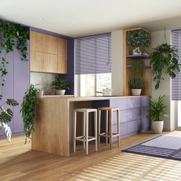 Urban jungle interior design, wooden kitchen in violet tones with many houseplants. Parquet, island with chairs and appliances. Biophilic concept idea