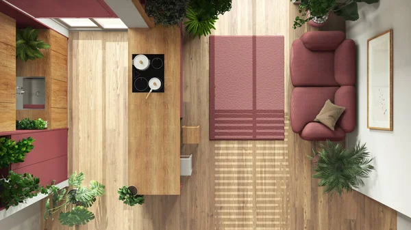 Indoor home garden concept idea. Minimal wooden kitchen and living room, interior design in red tones. Parquet and many house plants. Urban jungle, top view, plan, above