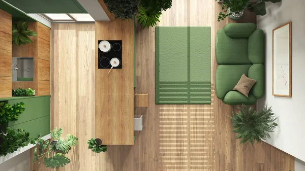 Indoor home garden concept idea. Minimal wooden kitchen and living room, interior design in green tones. Parquet and many house plants. Urban jungle, top view, plan, above
