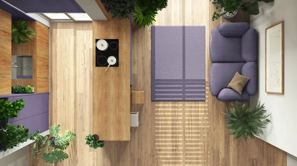 Indoor home garden concept idea. Minimal wooden kitchen and living room, interior design in purple tones. Parquet and many house plants. Urban jungle, top view, plan, above
