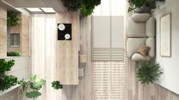 Indoor home garden concept idea. Minimal bleached wooden kitchen and living room, interior design in white tones. Parquet and many house plants. Urban jungle, top view, plan, above