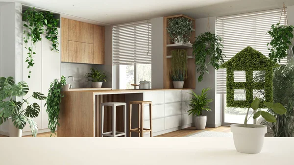 Mesa Blanca Estante Con Planta Verde Maceta Forma Casa Cocina — Foto de Stock