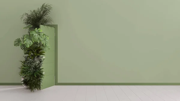 Rośliny Domowe Pływające Przez Otwarte Drzwi Wnętrzu Domu Zielonymi Ścianami — Zdjęcie stockowe