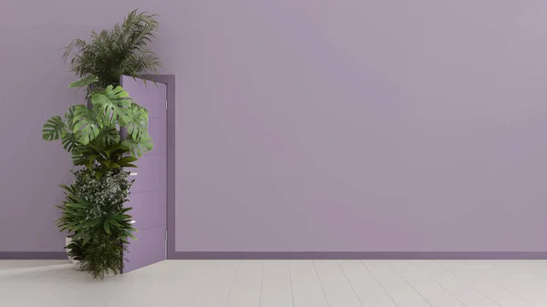 Rośliny Domowe Pływające Przez Otwarte Drzwi Wnętrzu Domu Fioletowymi Ścianami — Zdjęcie stockowe