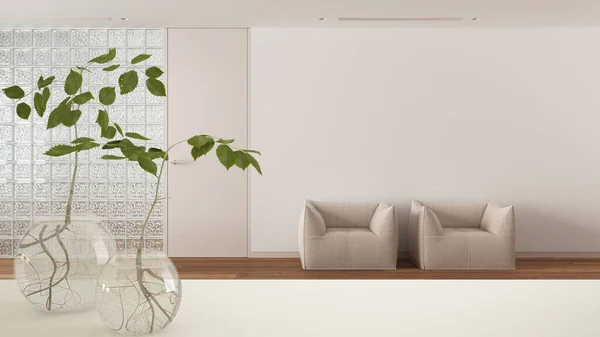 Tampo Mesa Branco Prateleira Com Vaso Vidro Com Planta Hidropônica — Fotografia de Stock