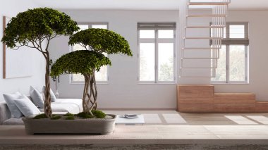 Çakıl taşı ve saksı çiçeği bonsai ile klasik ahşap masa rafı, yeşil çiçekler, minimum beyaz oturma odası üzerinde kanepe ve merdiven, zen mimari fikir