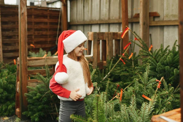 Una Chica Elige Árbol Navidad Una Tienda —  Fotos de Stock
