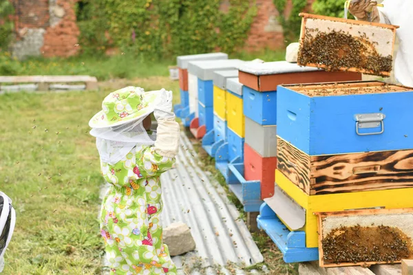Der Imker Zeigt Den Kindern Den Bienenstock — Stockfoto