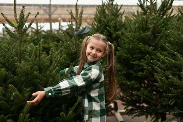Small girl chooses a Christmas tree in the shop.