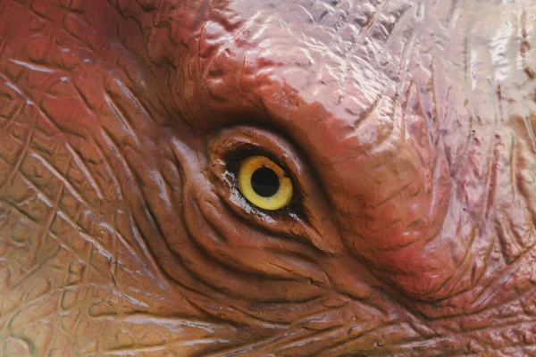 Dinosaur eye pupil close up yellow eyes.