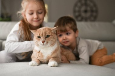 Erkek ve kız kardeş kızıl bir kediye sarılıyor.