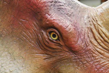 Dinozor gözü öğrencisi, sarı gözleri kapat..