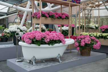 Pembe ortancayla dolu eski bir banyo.