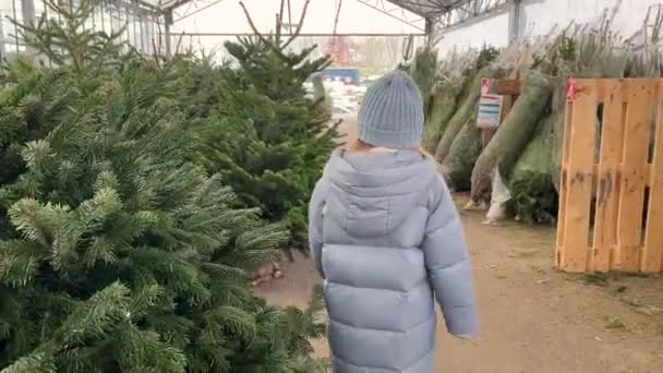 Bir Kız Marketten Noel Ağacı Almayı Seçer — Stok video