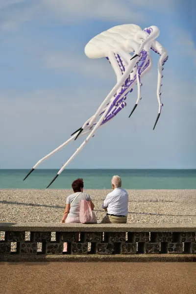Älteres Ehepaar Blickt Auf Einen Weißen Oktopus Drachen Himmel Drachenfest lizenzfreie Stockbilder