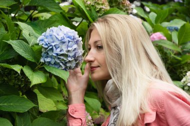 Portrait of a blonde woman smelling hydrangea flowers clipart
