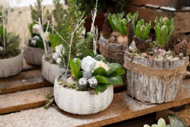 Noel için sümbüllü Noel kompozisyonu